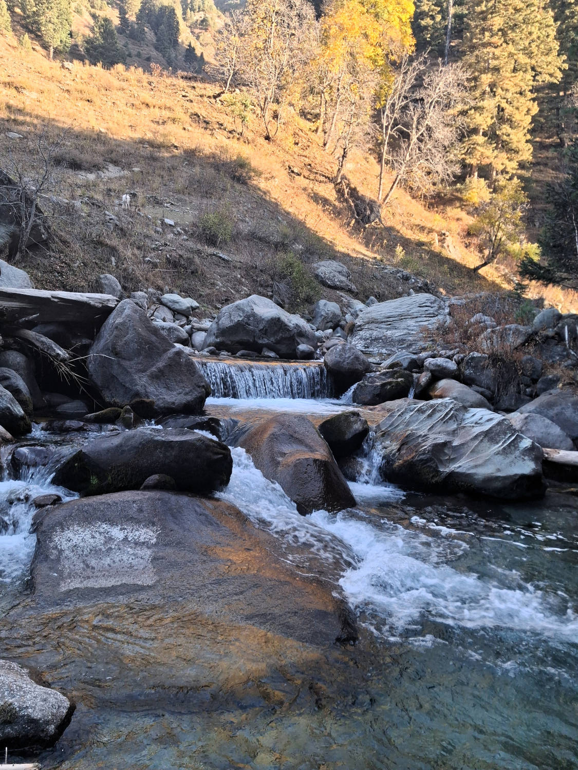 Marchoi trail-stream