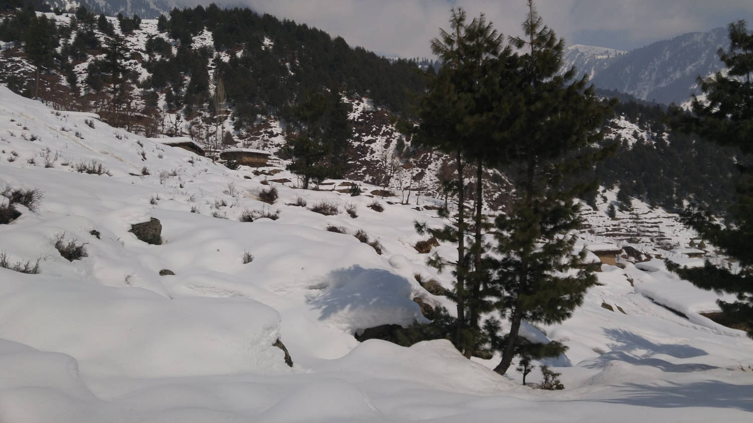 Mohanmarg Trek