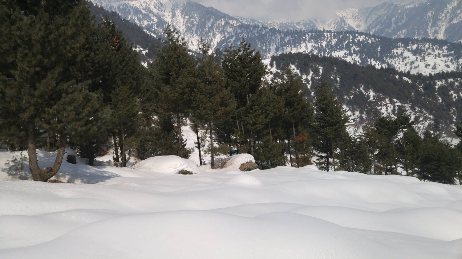 Mohanmarg Trek