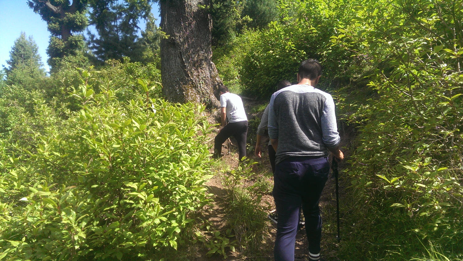 Mohanmarg Trek