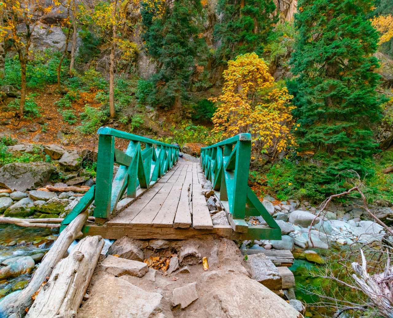 Domail bridge