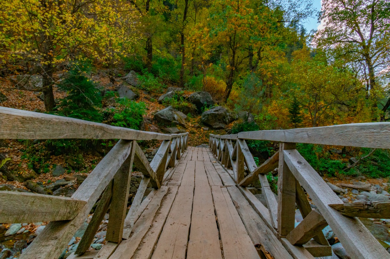 Domail bridge