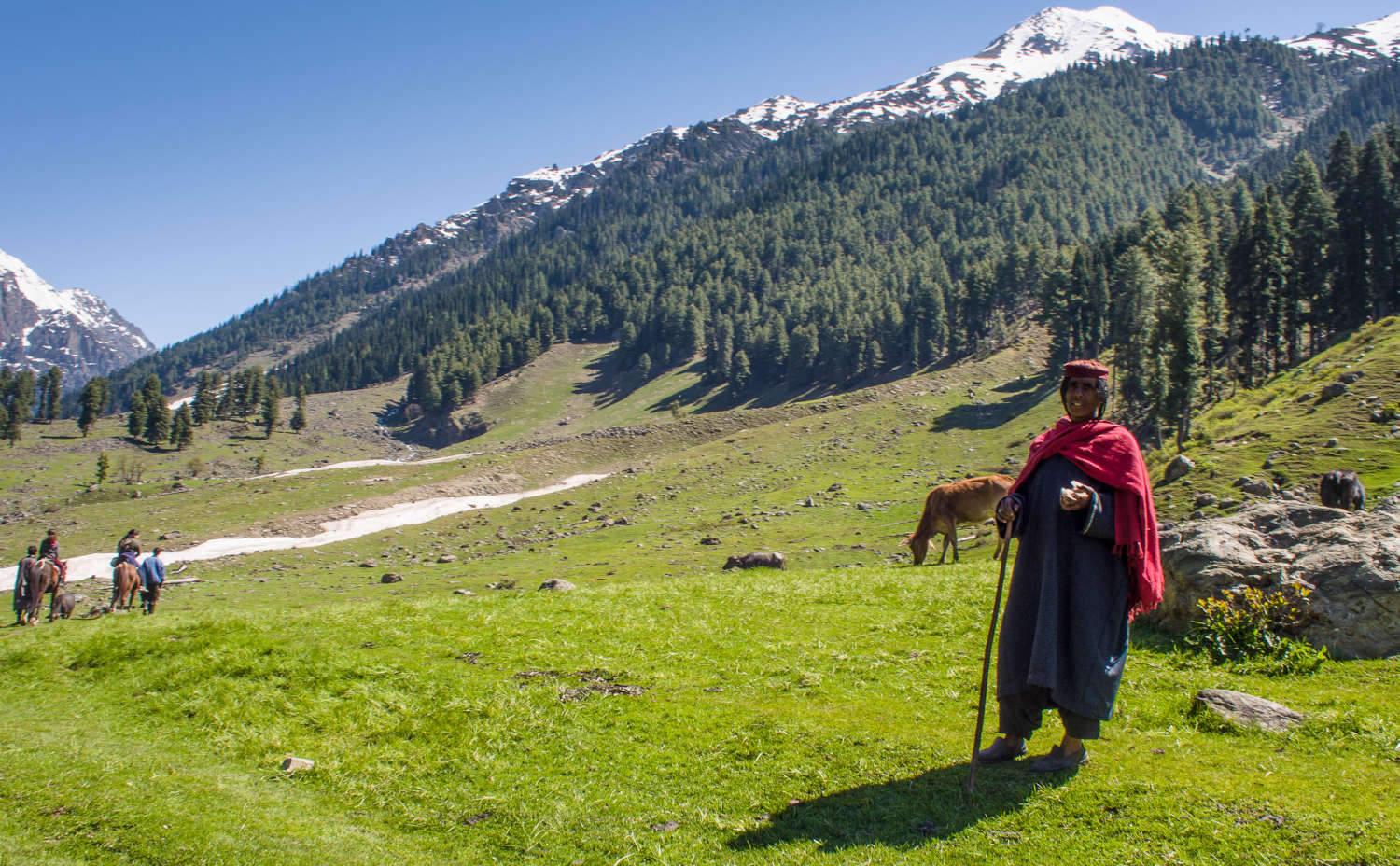 Gujar-lady-lidder-valley