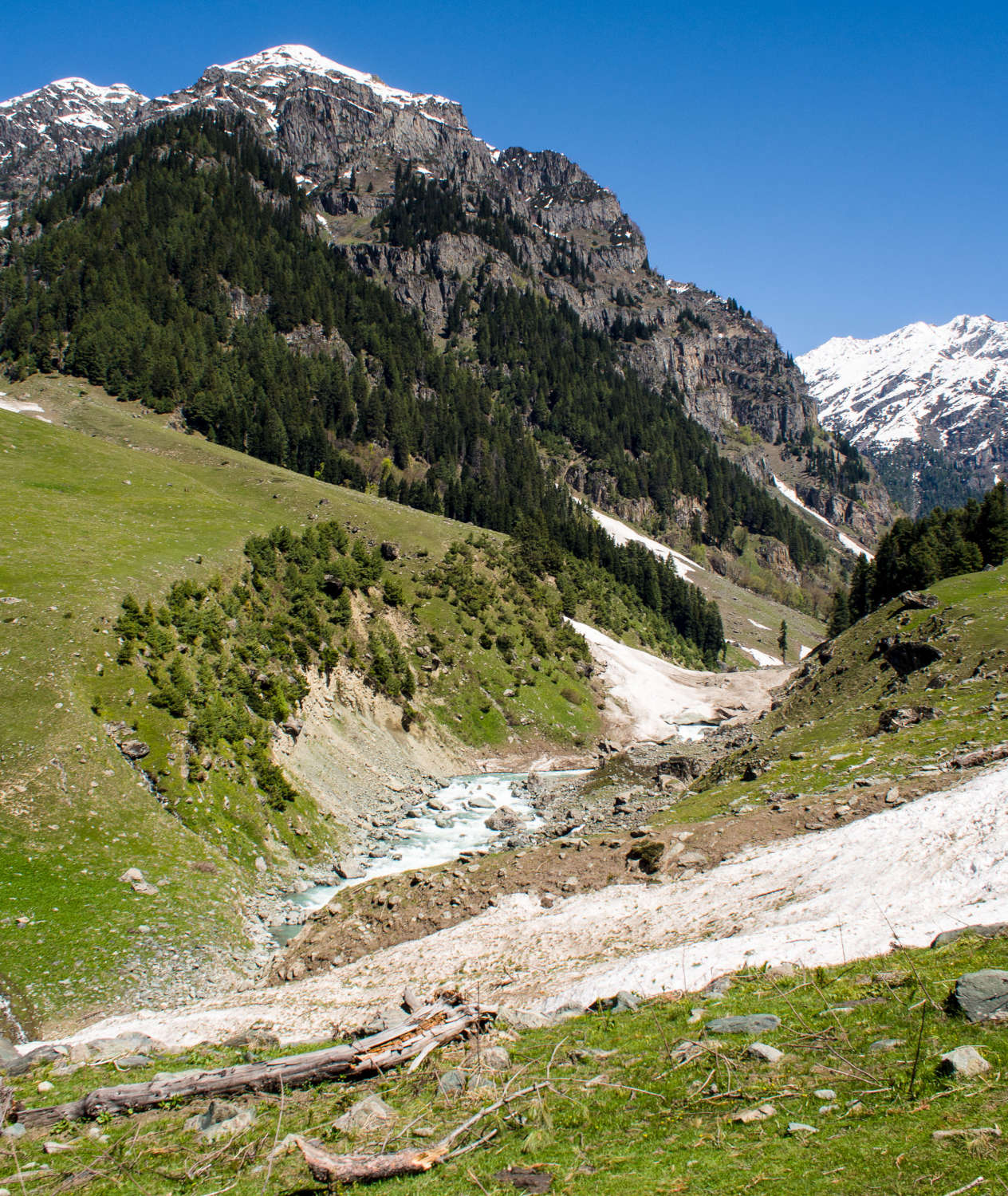 lidder-valley-between-aru-and-lidderwat