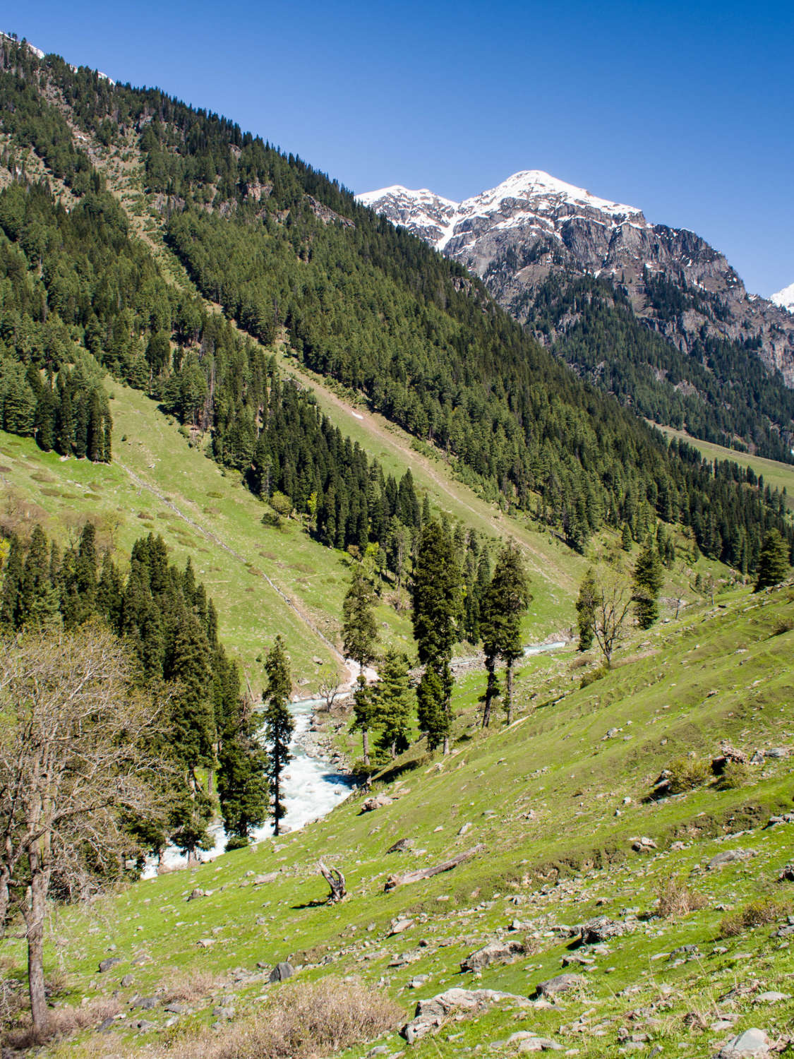 lidder-valley-between-aru-and-lidderwat