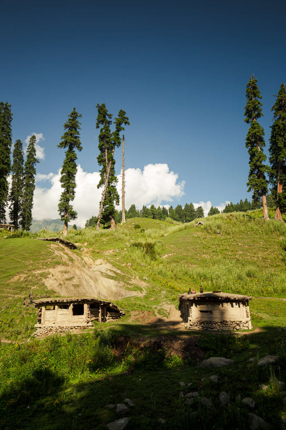 Nafran Valley Trek