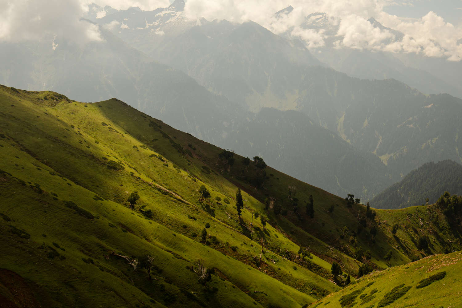 Nafran Valley Trek