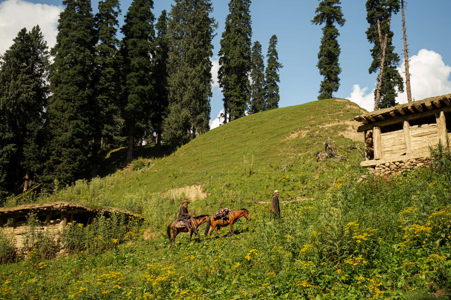 Nafran Valley Trek