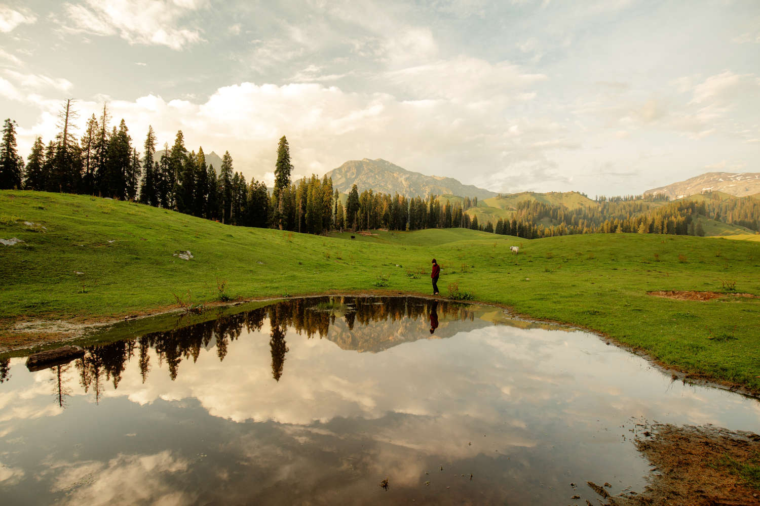 Nafran Valley Trek