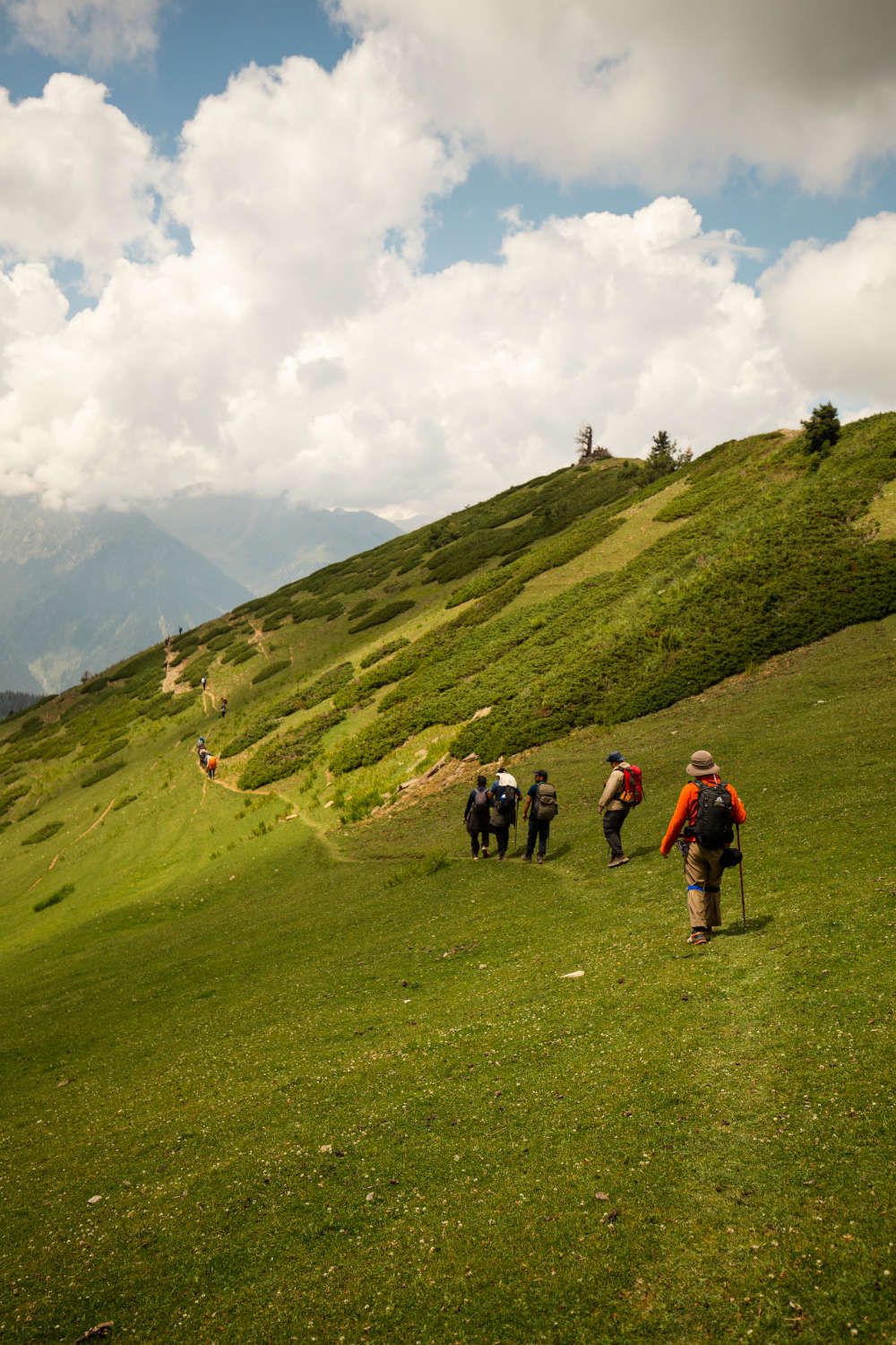 Nafran Valley Trek