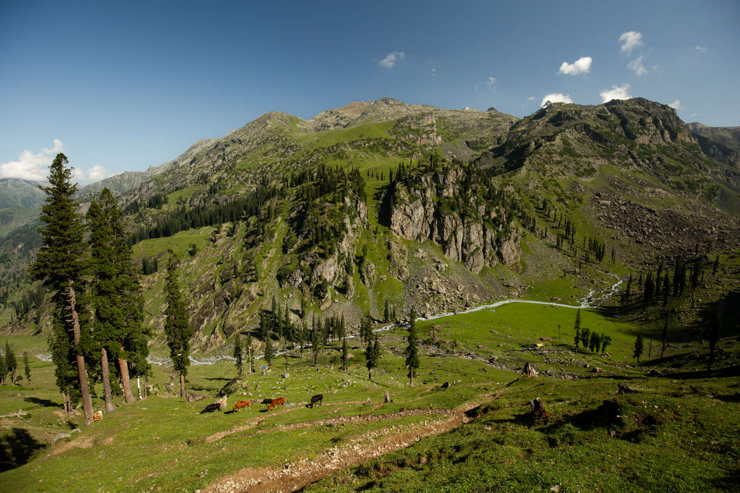 Nafran Valley Trek