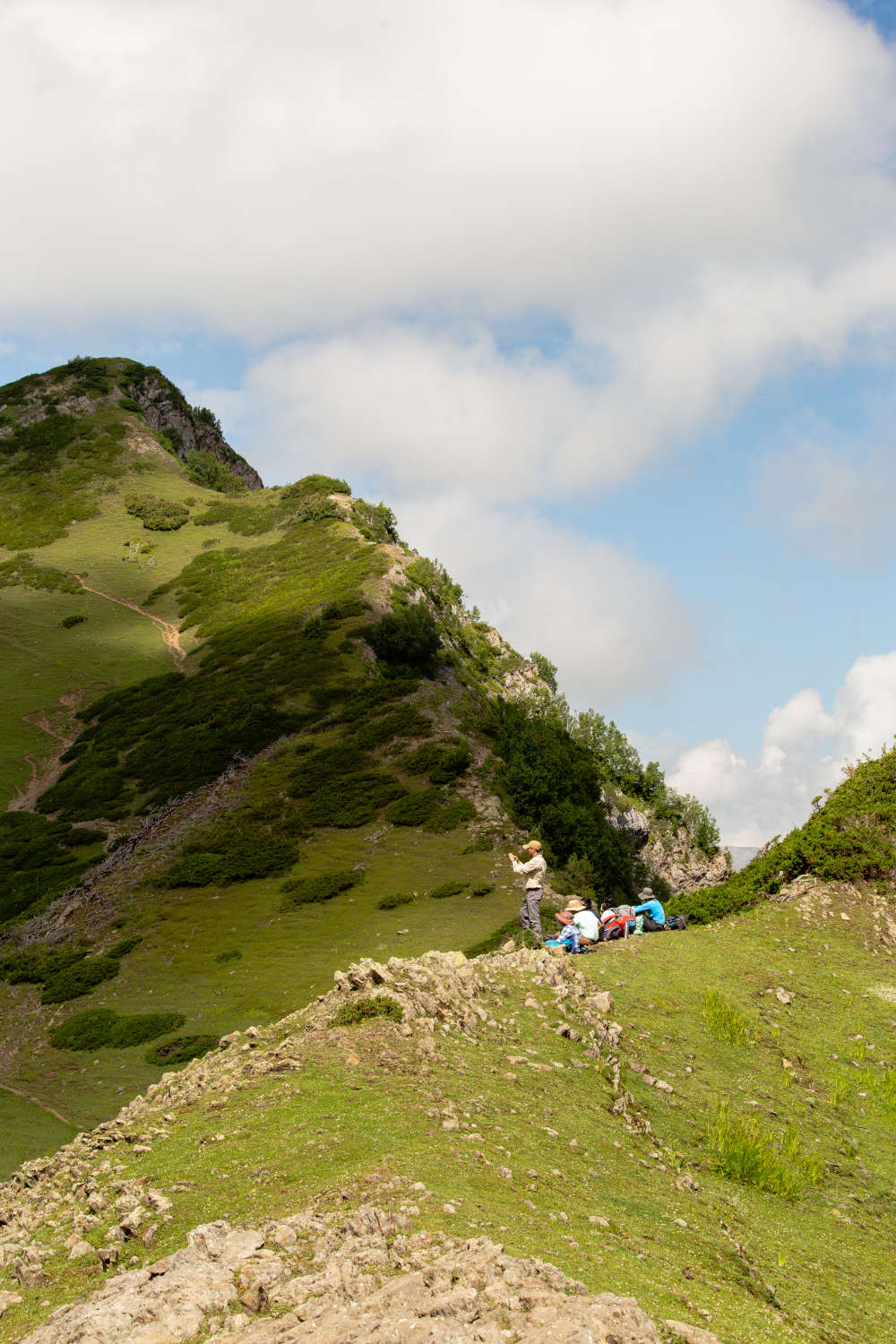 Nafran Valley Trek