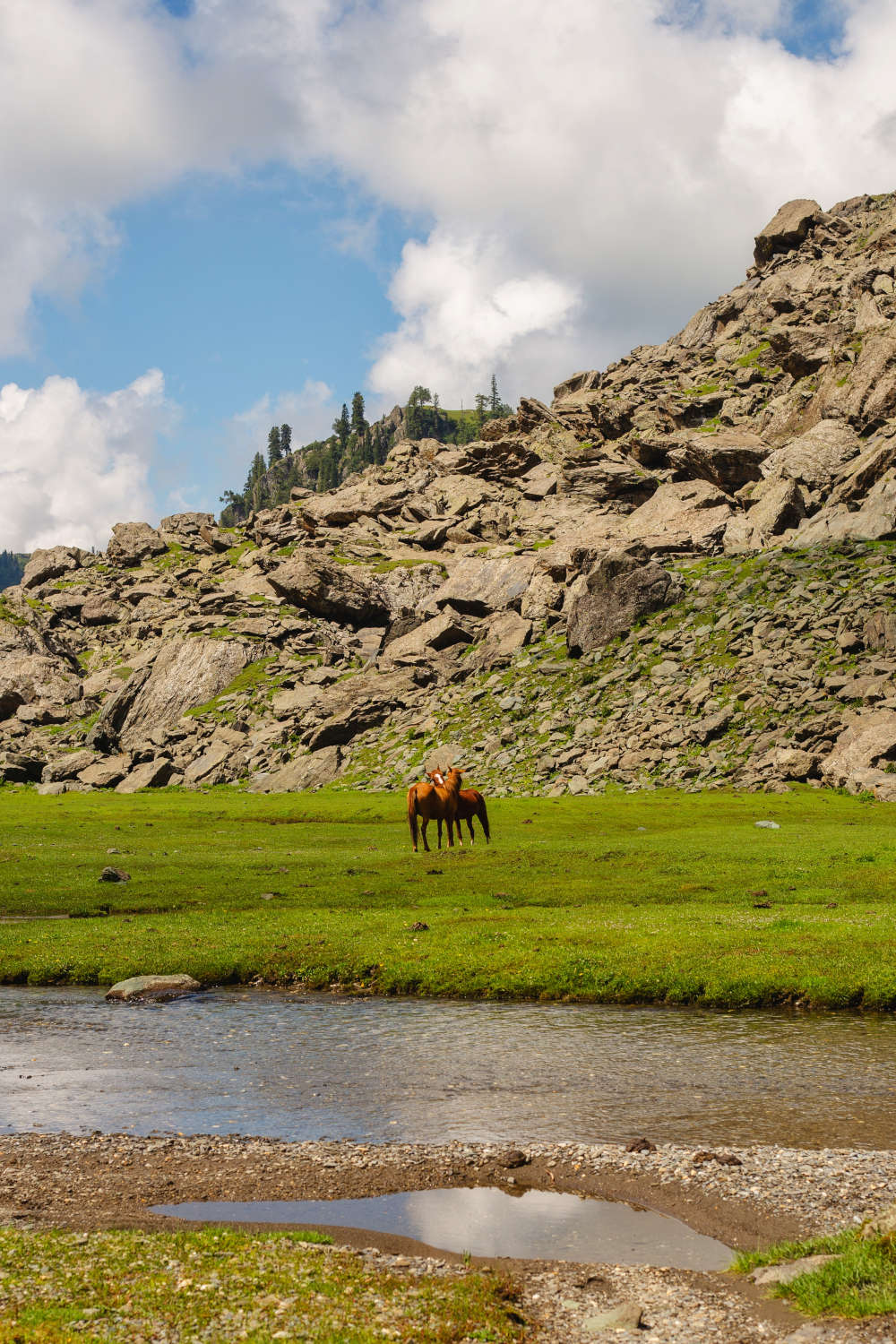 Nafran Valley Trek