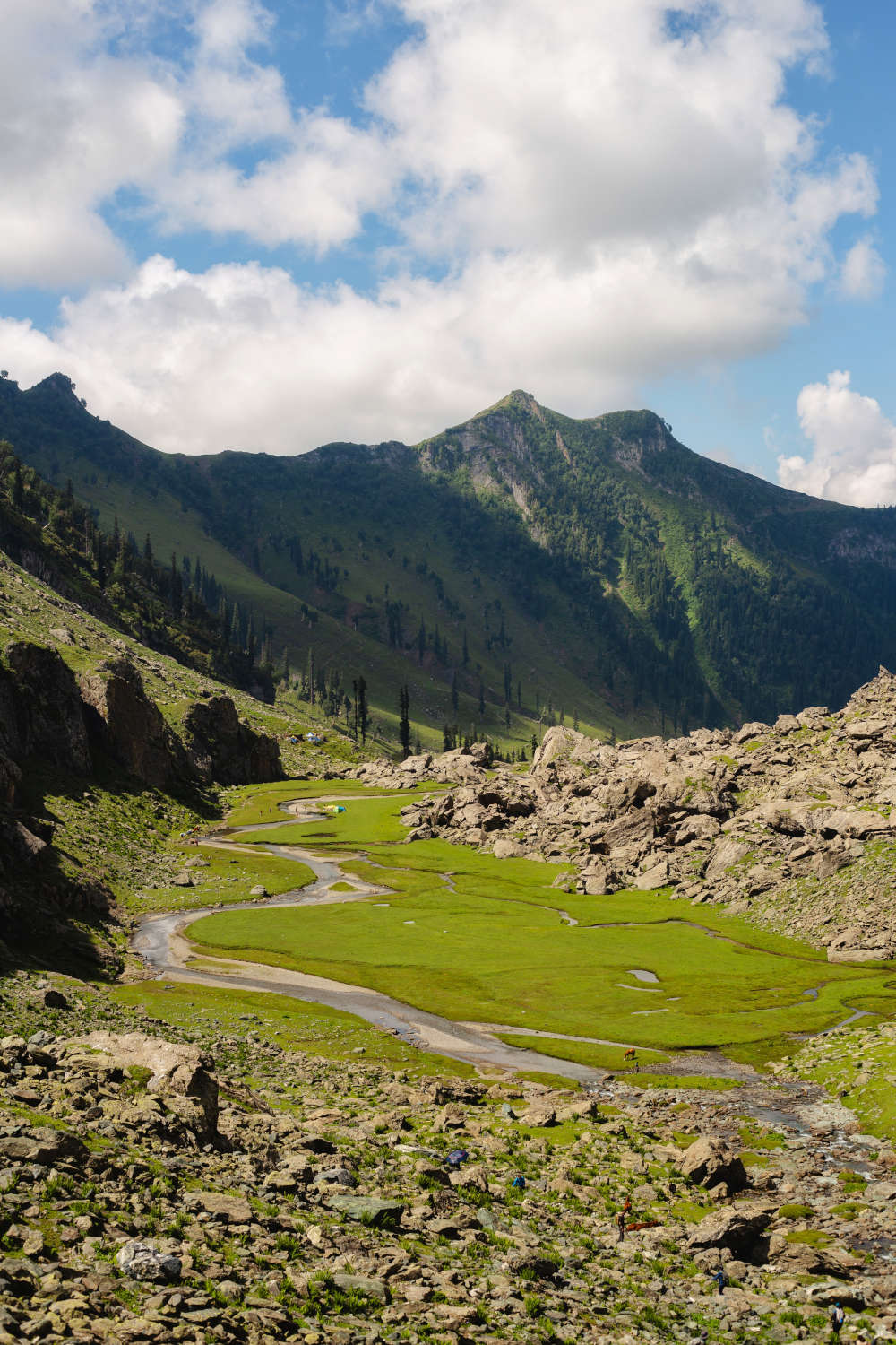 Nafran Valley Trek