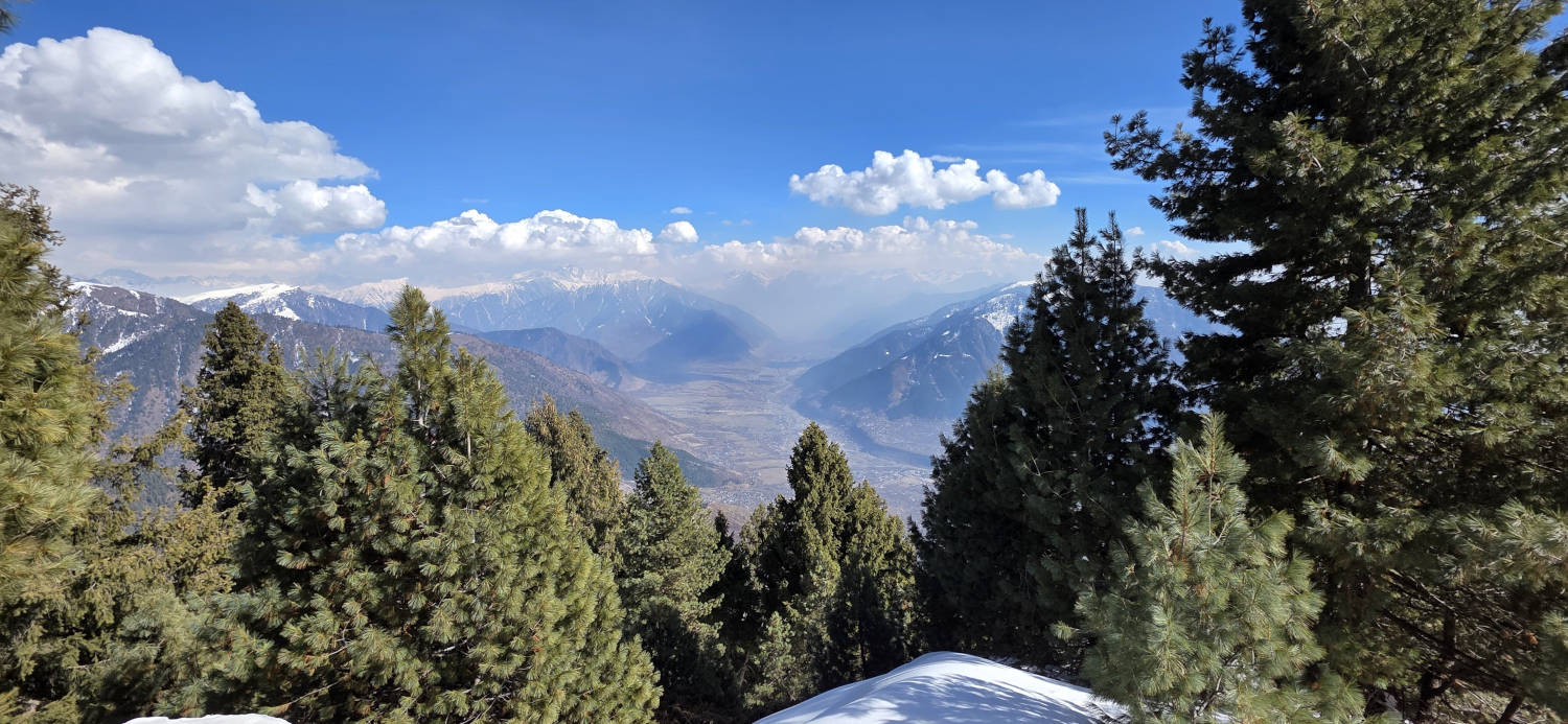 pines and valley-Mohanmarg